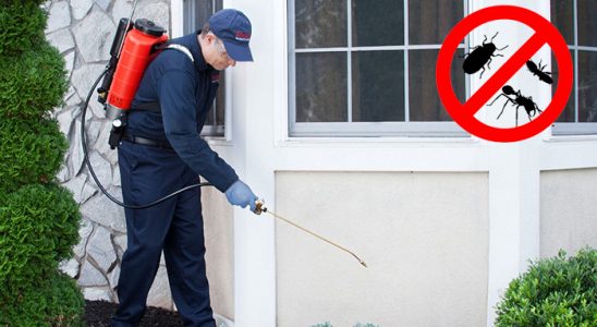 Yayladere Tahtakurusu İlaçlama böcek ilaçlama ve haşere kontrolü — ilaclama-tr.com